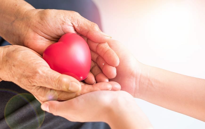 hands holding a heart